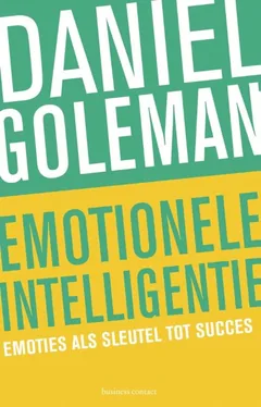 Omslag van Emotionele intelligentie